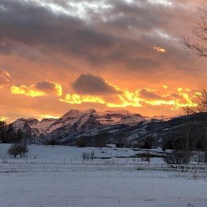 Meet your Posher, Karen v